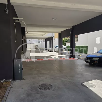 Jovana Skerlića | 4zida.rs