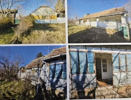 Opština Zrenjanin, Banatski Despotovac | 4zida.rs