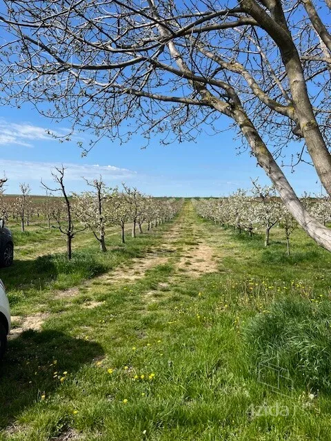 Poljoprivredno zemljište | 4zida