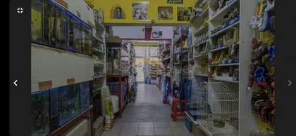 Nova Detelinara | 4zida.rs