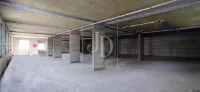 Lokal | 4zida