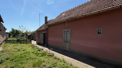 Mužlja | 4zida.rs