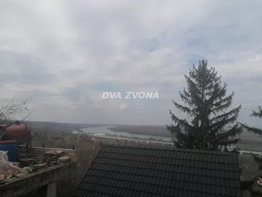 Čortanovci