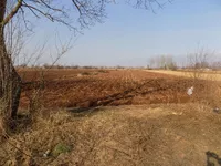 Dankovo, Gradske lokacije, Paraćin | 4zida.rs