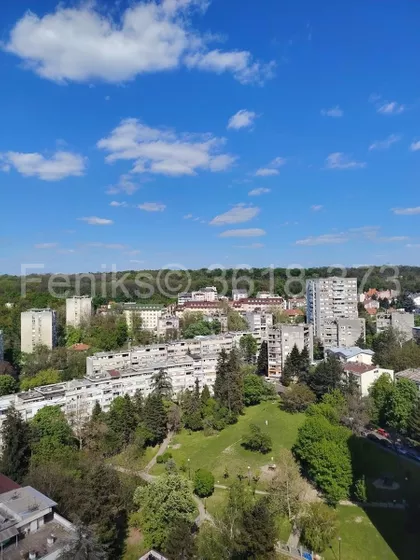 Učitelja Miloša Jankovića | 4zida.rs