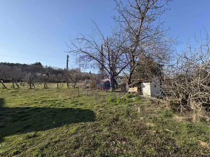 Alibegovac | 4zida.rs