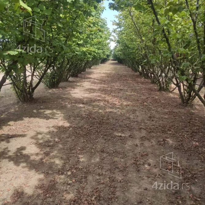 Poljoprivredno zemljište | 4zida