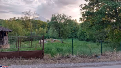 Boljevačka | 4zida.rs