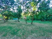 Plac | 4zida