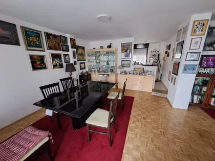 Dr Ivana Ribara 100 | 4zida.rs