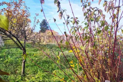 Palih boraca | 4zida.rs