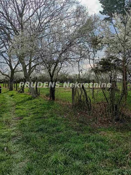 Sremski Mihaljevci | 4zida.rs