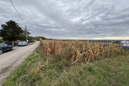 Dućevac-Žuti potok | 4zida.rs