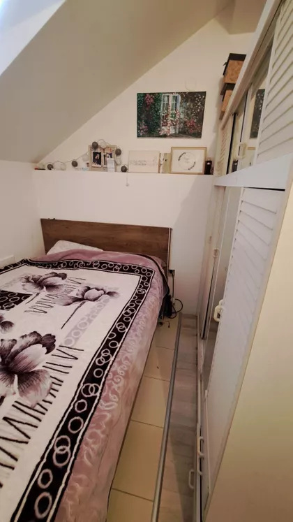 Dalmatinska | 4zida.rs