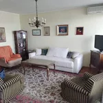 Beograd, Zemun opština, Zemunski Kej | 4zida.rs | 4zida.rs