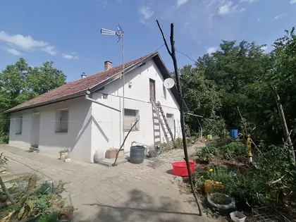Srpski Šor | 4zida.rs