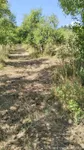 Plac | 4zida