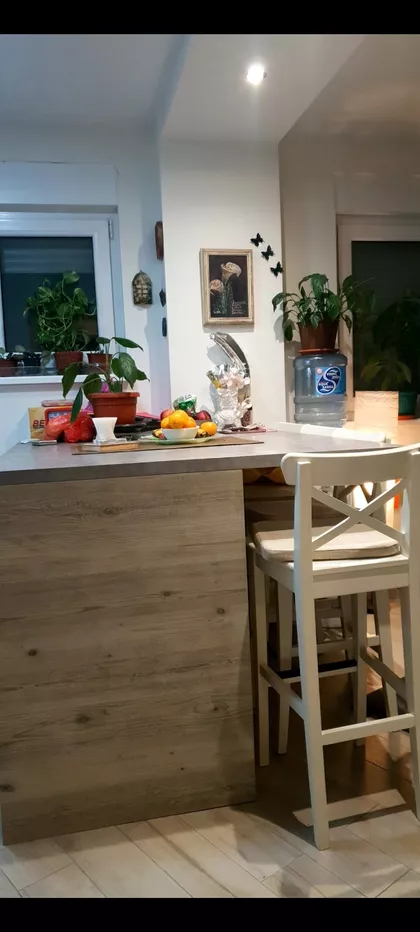 Šumatovačka | 4zida.rs