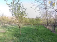 Jagodina, Okolne lokacije, Donje Štiplje | 4zida.rs | 4zida.rs