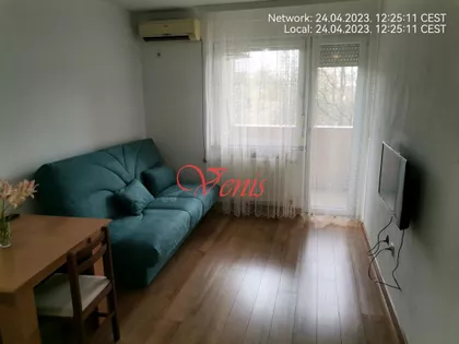 Vojvode Šupljikca | 4zida.rs