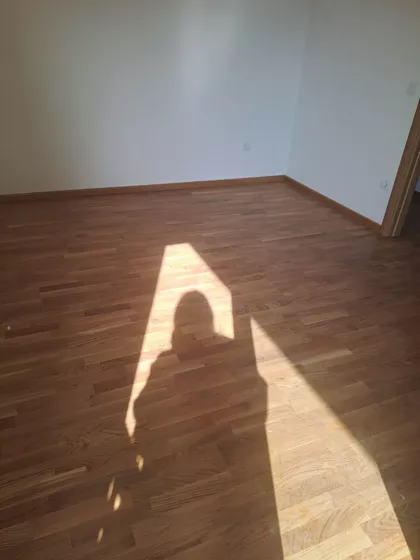 Cara Dušana | 4zida.rs