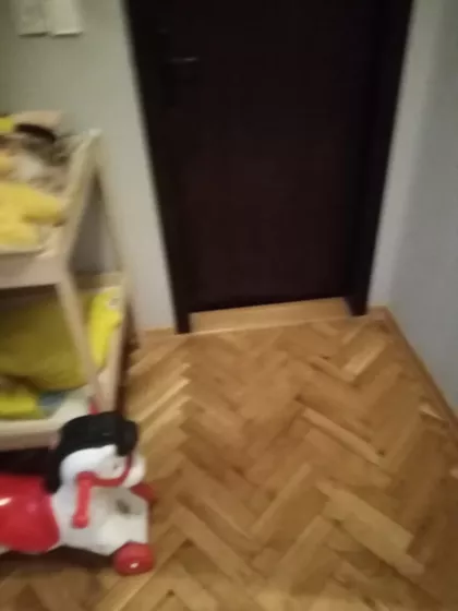 Miše Dimitrijevića | 4zida.rs