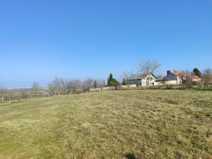 Ostružnica | 4zida.rs