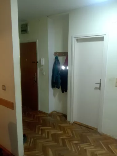 Milete Protića 40