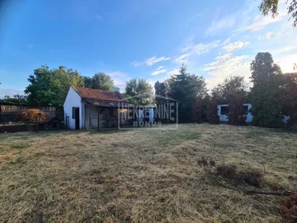 Bajmok | 4zida.rs
