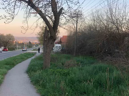 Cara Dušana Nemanjića | 4zida.rs