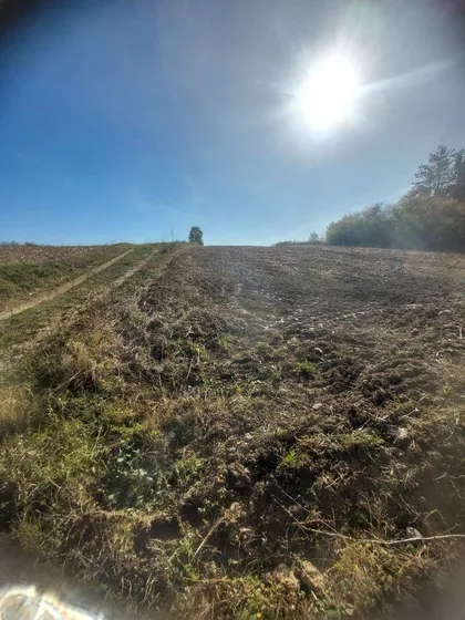 Nenadovac | 4zida.rs