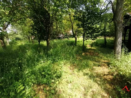 Sremska Kamenica | 4zida.rs