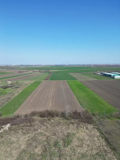 Braće Nešković | 4zida.rs