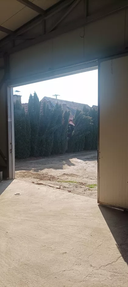 Vuka Karadžića | 4zida.rs