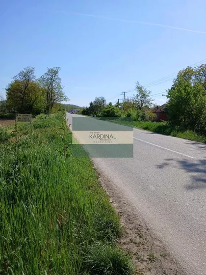 Dragocvet | 4zida.rs