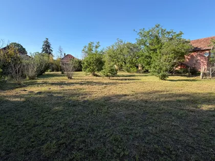 Bele Kuna | 4zida.rs