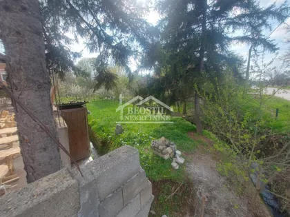 Zmaj Jovina | 4zida.rs