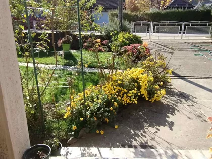 13. Oktobar | 4zida.rs