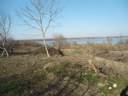 Orasje | 4zida.rs