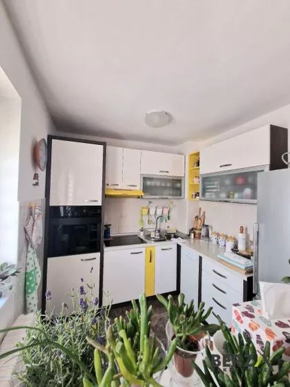 Nova Detelinara | 4zida.rs