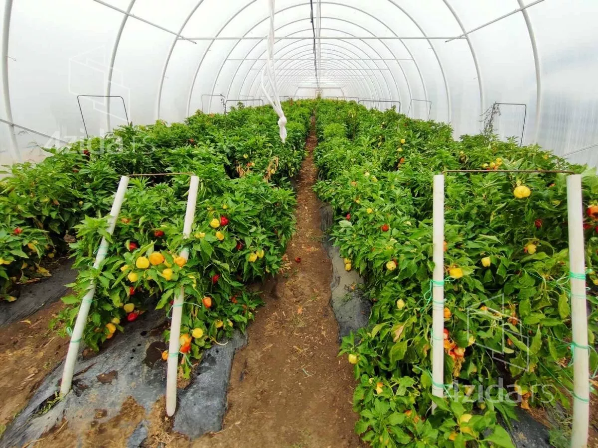 Poljoprivredno zemljište | 4zida