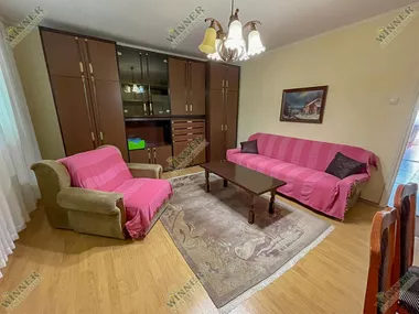 Đure Gajića