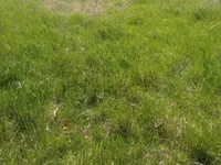 Drača, Okolne lokacije, Kragujevac | 4zida.rs