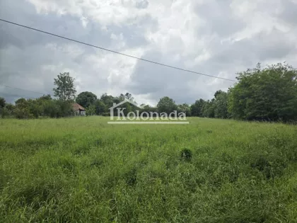 Dučina | 4zida.rs