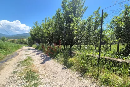 Carsko sokače | 4zida.rs