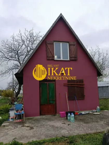 Ruže Živanovića | 4zida.rs