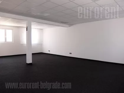 HALA PIONIR | 4zida.rs