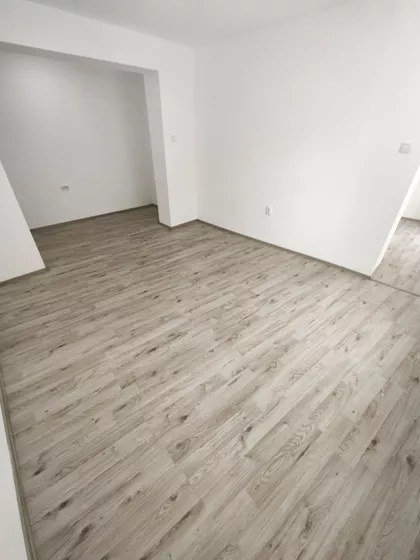 Žarka Zrenjanina | 4zida.rs