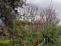 Srpski Šor, Zorka, Gradske lokacije, Subotica | 4zida.rs