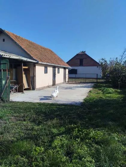 Stari Žednik | 4zida.rs